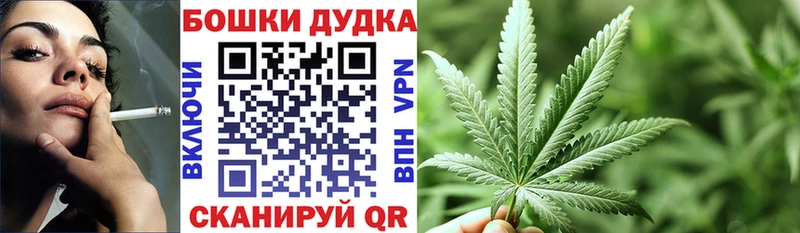 Магазины продажи наркотиков Будённовск Конопля  Альфа ПВП  Гашиш  МЕФ 