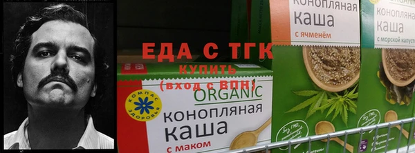 mdpv Богородицк