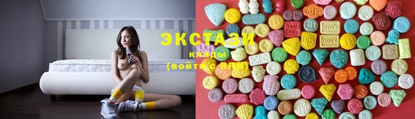 дмт Богданович