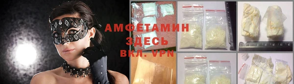 дмт Богданович