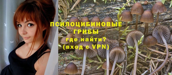 дурь Вязники