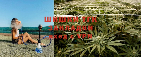 дмт Богданович