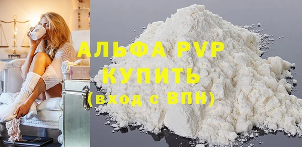 дмт Богданович