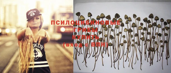 метадон Белокуриха