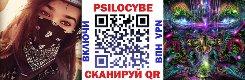 Галлюциногенные грибы Psilocybine cubensis  магазин  наркотиков  Будённовск 